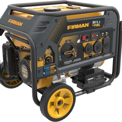 Firman H03651 3650-4550 Watt Dual Fuel Generator